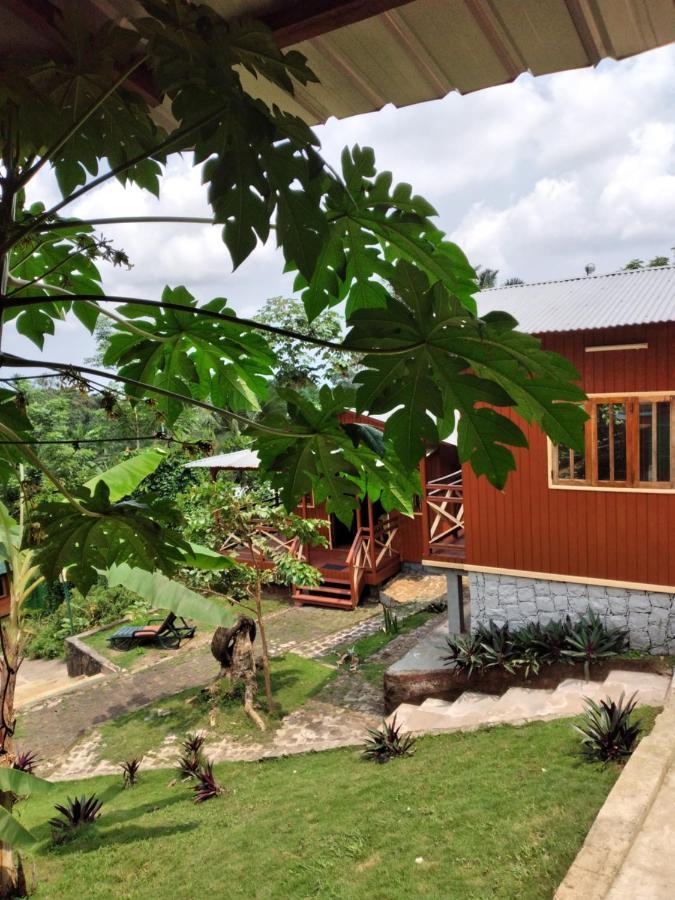 Guest House Quinta Natural Bangalots Graca 외부 사진