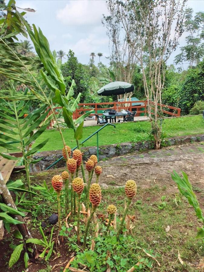 Guest House Quinta Natural Bangalots Graca 외부 사진