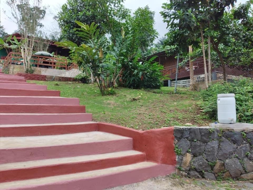 Guest House Quinta Natural Bangalots Graca 외부 사진