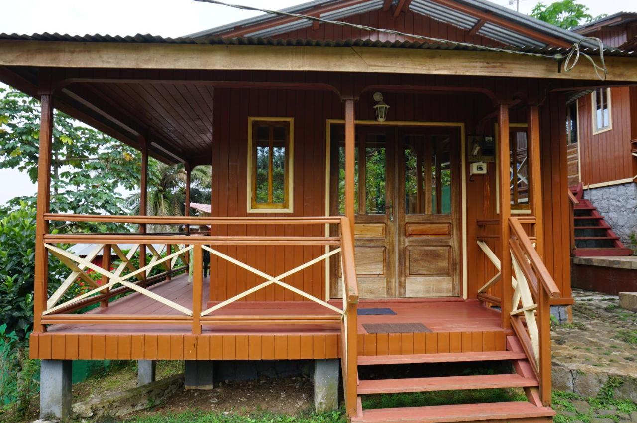Guest House Quinta Natural Bangalots Graca 외부 사진