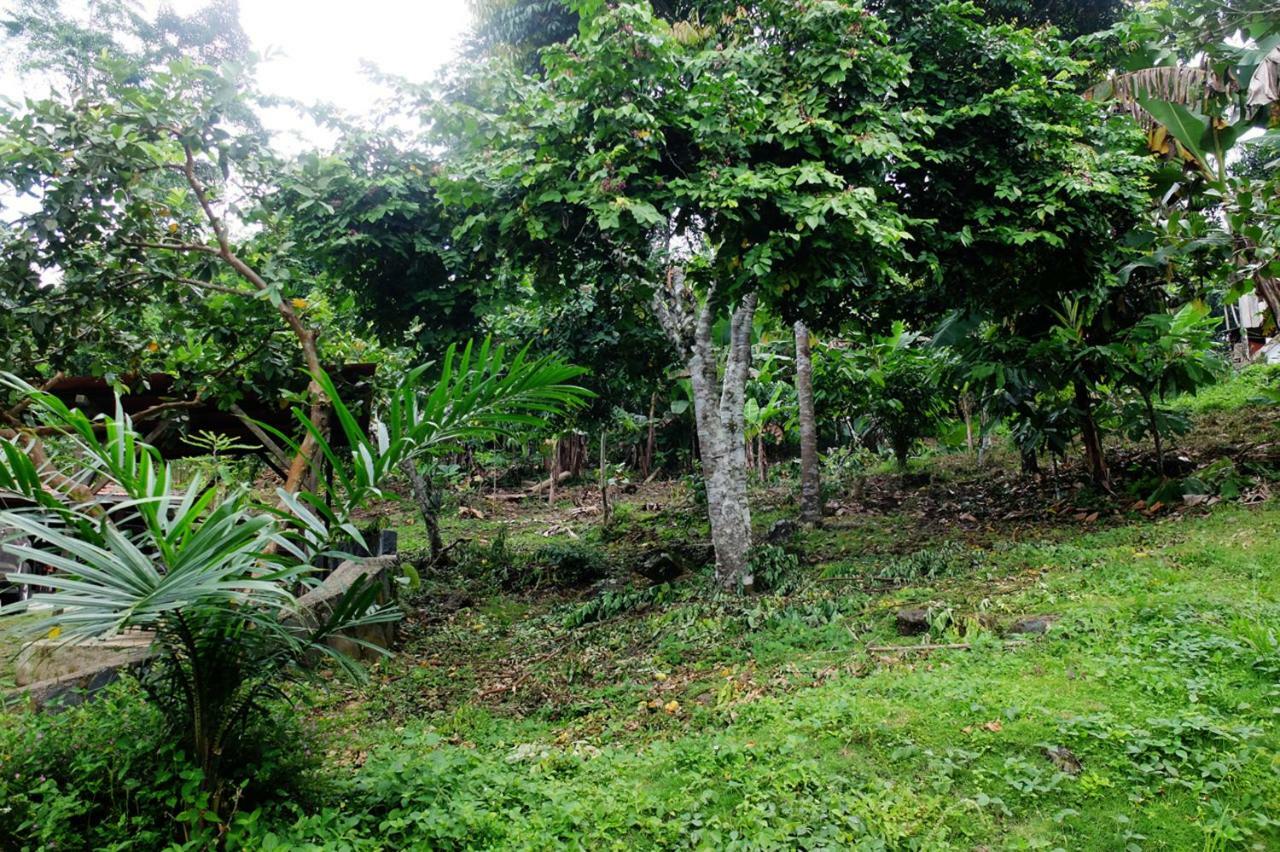 Guest House Quinta Natural Bangalots Graca 외부 사진