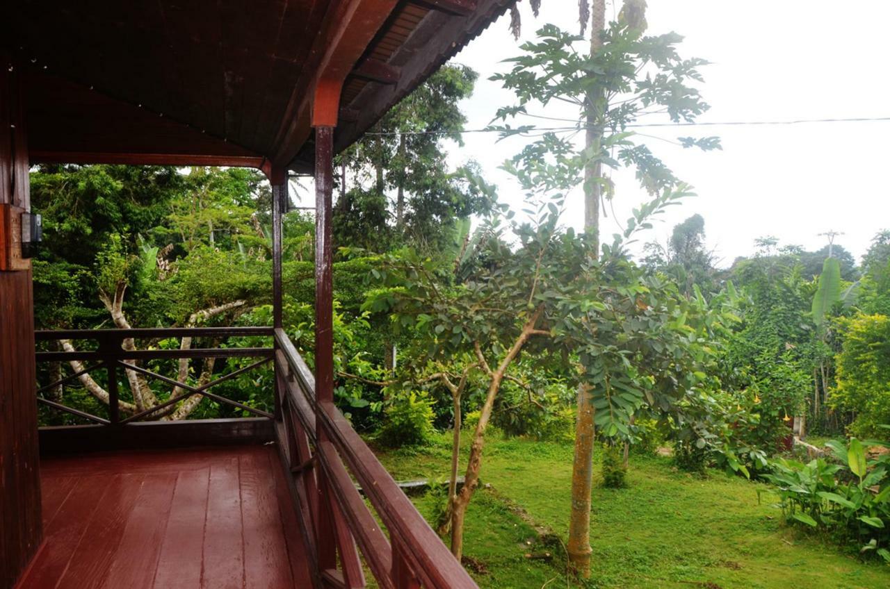 Guest House Quinta Natural Bangalots Graca 외부 사진