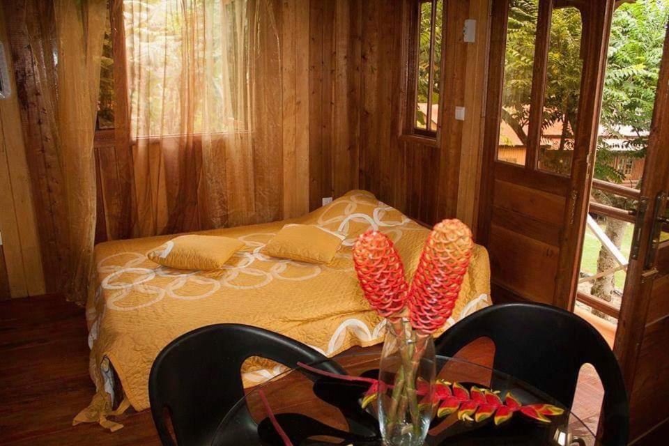 Guest House Quinta Natural Bangalots Graca 외부 사진