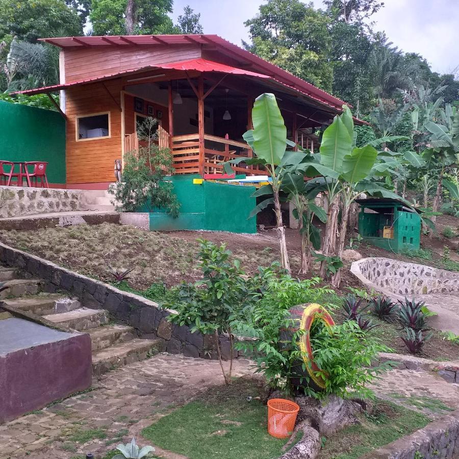 Guest House Quinta Natural Bangalots Graca 외부 사진