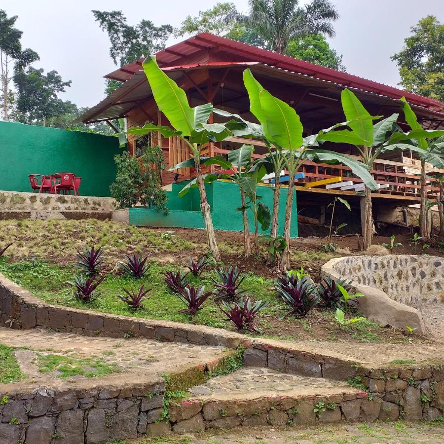 Guest House Quinta Natural Bangalots Graca 외부 사진