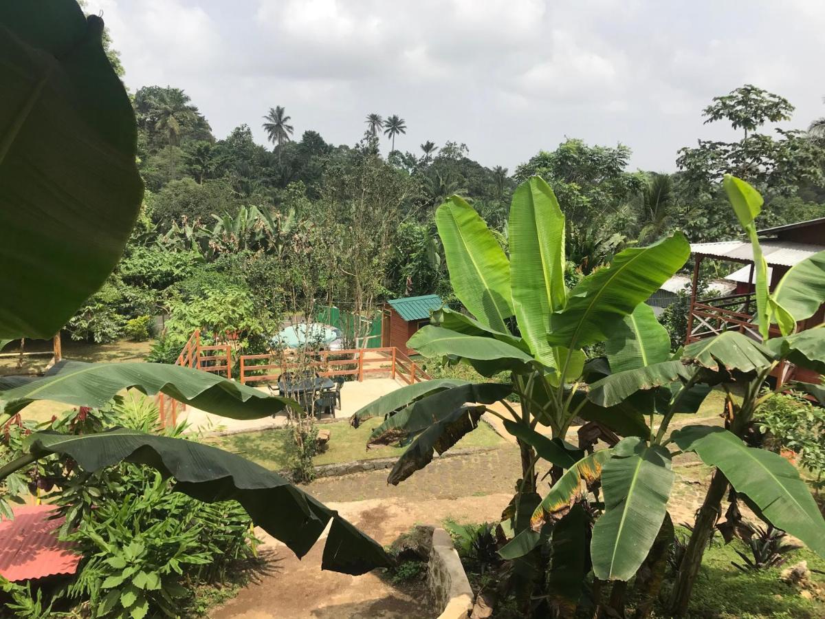 Guest House Quinta Natural Bangalots Graca 외부 사진