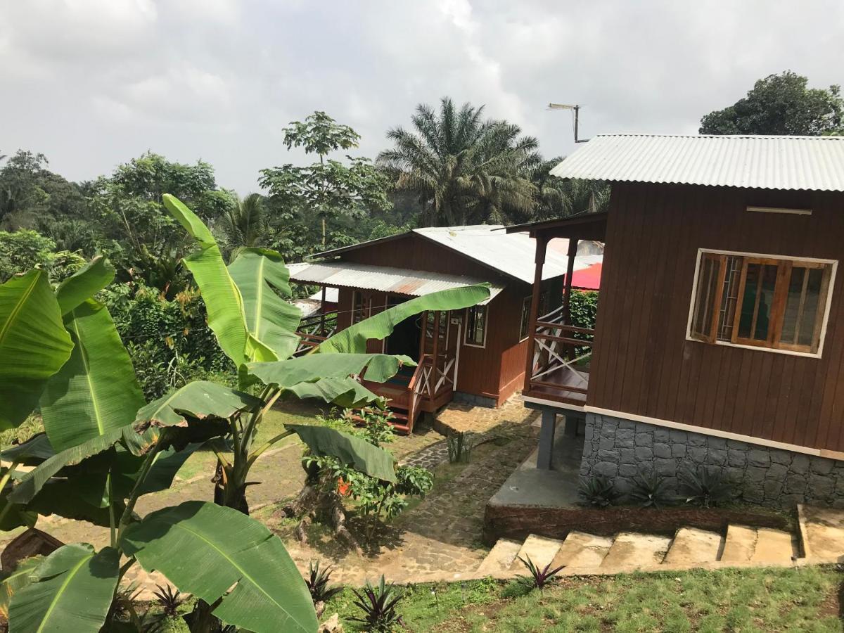 Guest House Quinta Natural Bangalots Graca 외부 사진